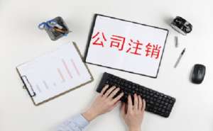 無(wú)為哪些企業(yè)類(lèi)型可以申請(qǐng)簡(jiǎn)易注銷(xiāo)需要提交哪些材料