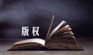蕪湖繁昌區(qū)軟件著作權(quán)的價(jià)值演化趨勢及其成因分析