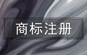 蕪湖企業(yè)注冊(cè)商標(biāo)：本地zhengce支持與品牌保護(hù)銜接建議